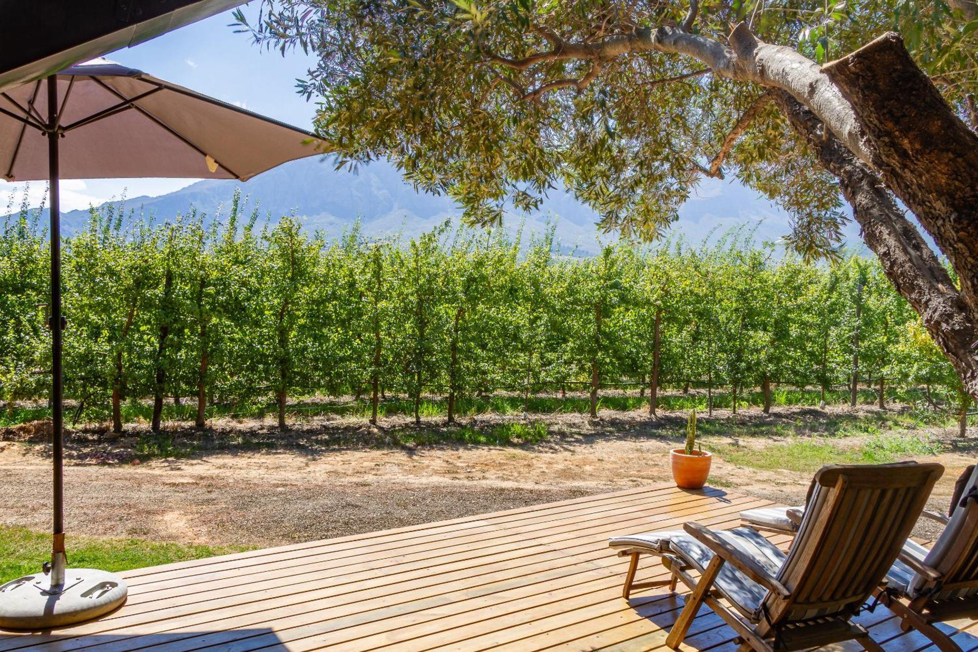 Bergsicht Country Farm Cottages Тульбах Экстерьер фото