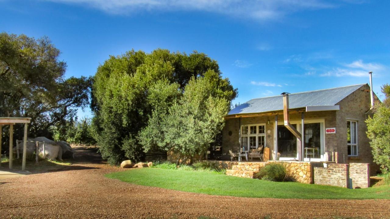 Bergsicht Country Farm Cottages Тульбах Экстерьер фото